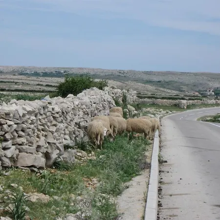 Apartment Tony Pag Town