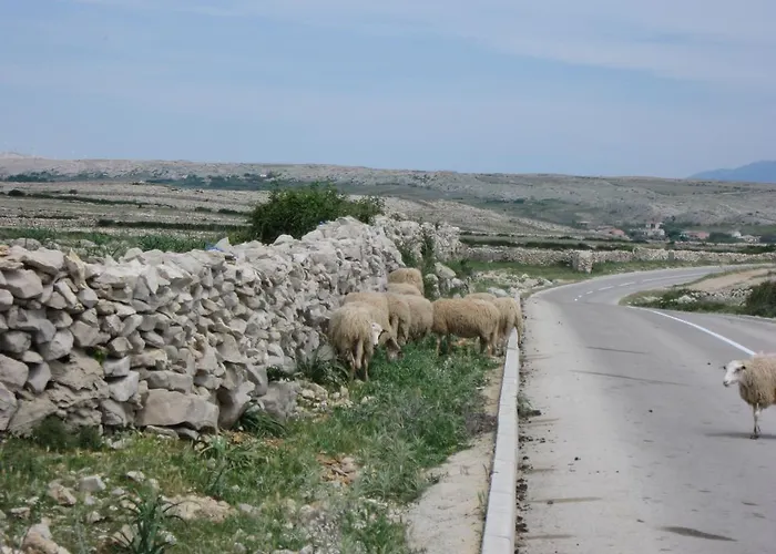 Διαμέρισμα Tony Pag Town